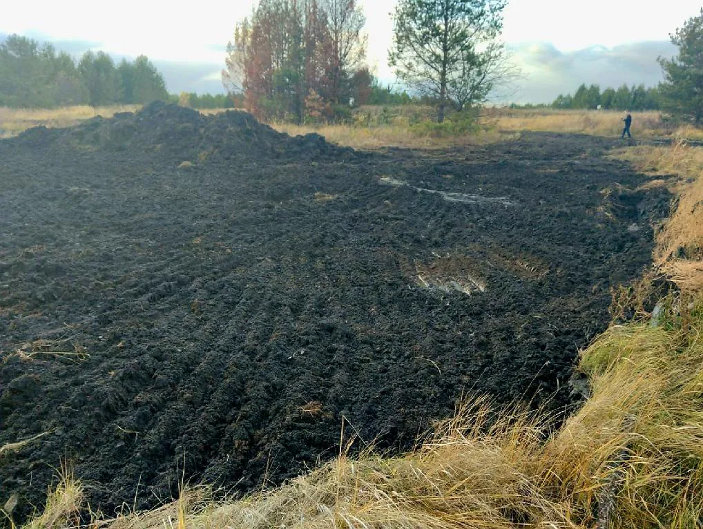 В Пензенской области обнаружили разлив нефтепродуктов