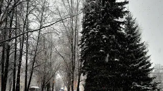 "Температура рухнет больше чем на 20 градусов": Вильфанд дал обновленный прогноз