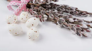 Целый год может простоять пушистой: как надолго сохранить веточки вербы