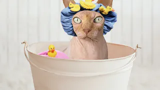 Готовьте тазики: в Рязани отключат воду до 31 мая еще на трех улицах