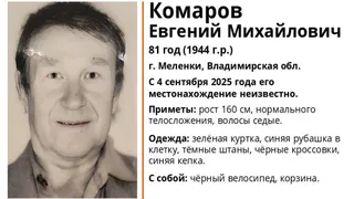 В Меленках ищут пропавшего 81-летнего мужчину с велосипедом и корзиной