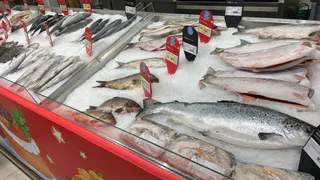 Названа самая полезная для человека рыба — нужно только есть два раза в неделю. Богата селеном, фосфором и великолепна на вкус