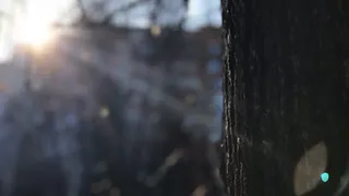 Пора доставать пуховики: какая погода ждет рязанцев на этой неделе