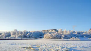 В Коми спасатели помогли пенсионерам, застрявшим в лесу