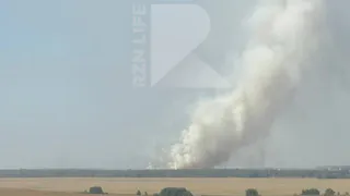 В рязанском Дягилево произошло возгорание сухой травы