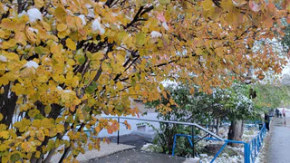 Циклон принесет тепло и осадки в Челябинскую область в ближайшие дни