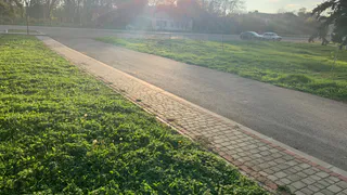 «Газон или не газон»: споры рязанцев о том, где можно парковаться, а где нет, продолжают набирать обороты