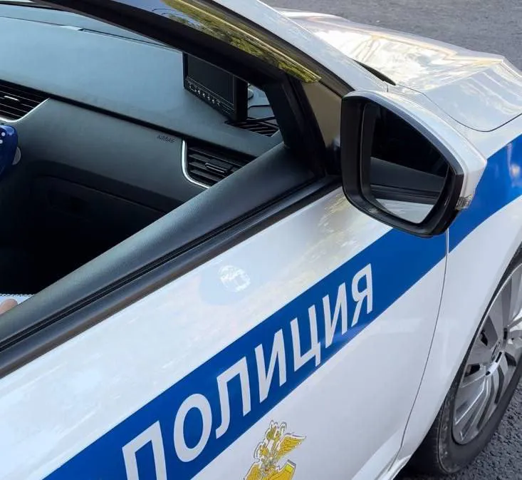 Вот и все. В России хотят ужесточить правила досмотра автомобилей