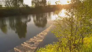 Рязанец заметил обмеление реки Вожа из-за агрохозяйства поблизости