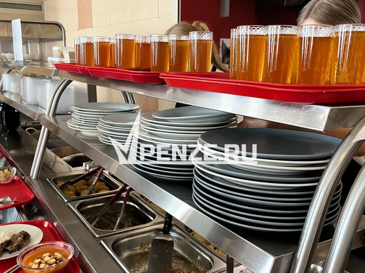 Сразу в нескольких учреждениях Пензенской области обнаружили нарушения в сфере организации детского питания