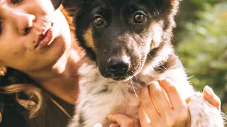 Дай лапку: щенок Эля, котята Карамелька и Кукла ищут хозяев