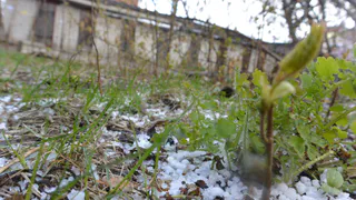 Аномальная жара на пороге: весна нагрянет неожиданно скоро - такого не было 20 лет