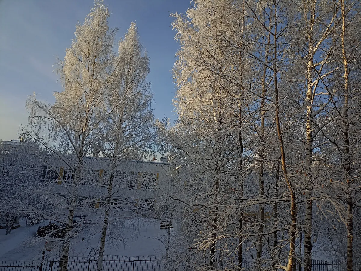 Казахский антициклон принесет в Челябинскую область настоящую зиму