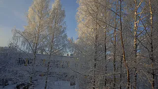 Казахский антициклон принесет в Челябинскую область настоящую зиму