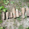 В Комаричском районе обезвредили 10 боеприпасов времён войны