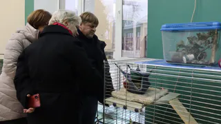 В Патриаршем саду Владимира откроются новые лаборатории