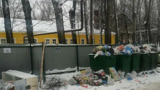 Свинство в Дягилеве: на улице Белякова в Рязани развелись крысы