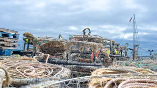 Что творится с рыбой в низовьях вод центральной России
