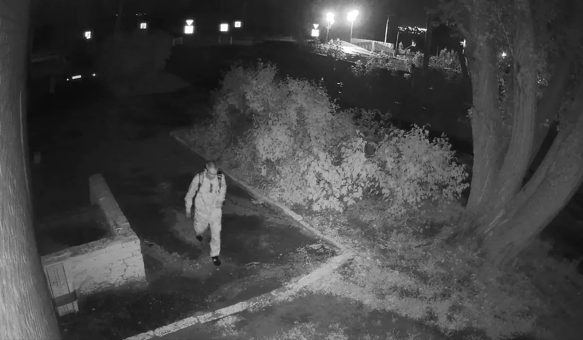 В Пензенской области задержали мужчину, который пытался изнасиловать 28-летнюю девушку