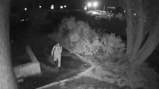 В Пензенской области задержали мужчину, который пытался изнасиловать 28-летнюю девушку