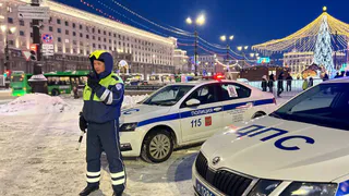 Работу челябинских полицейских в новогоднюю ночь назвали интенсивной и успешной