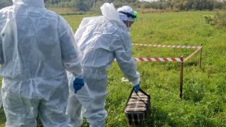 В Коми сотрудники ветслужбы отработали угрозу птичьего гриппа