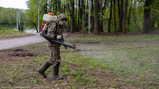 Против паразитов: парки Рязани обработали от клещей