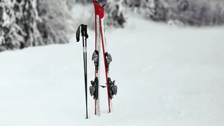 Власти планируют открыть во Владимире центр лыжных гонок