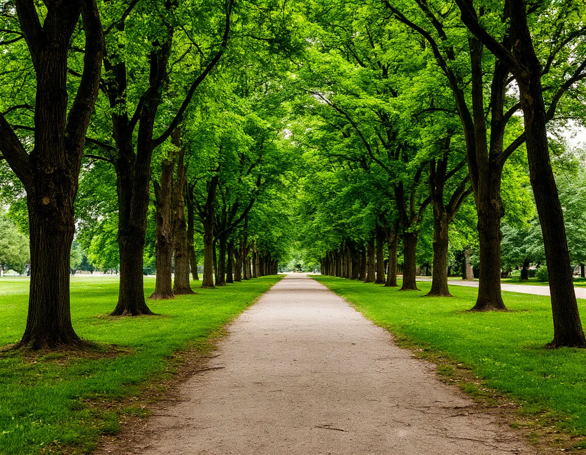 Трагедия в парке: в Набережных Челнах обнаружено тело мужчины
