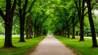 Трагедия в парке: в Набережных Челнах обнаружено тело мужчины