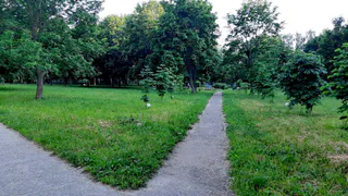 Искали два дня: в Новомичуринске нашли пропавшего 11-летнего мальчика