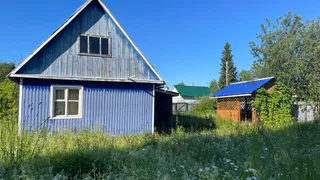 Лишат земли: всех владельцев дачных участков ждет новое жесткое правило с 1 августа