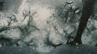 Теплые деньки закончились, в Рязань приходят холода