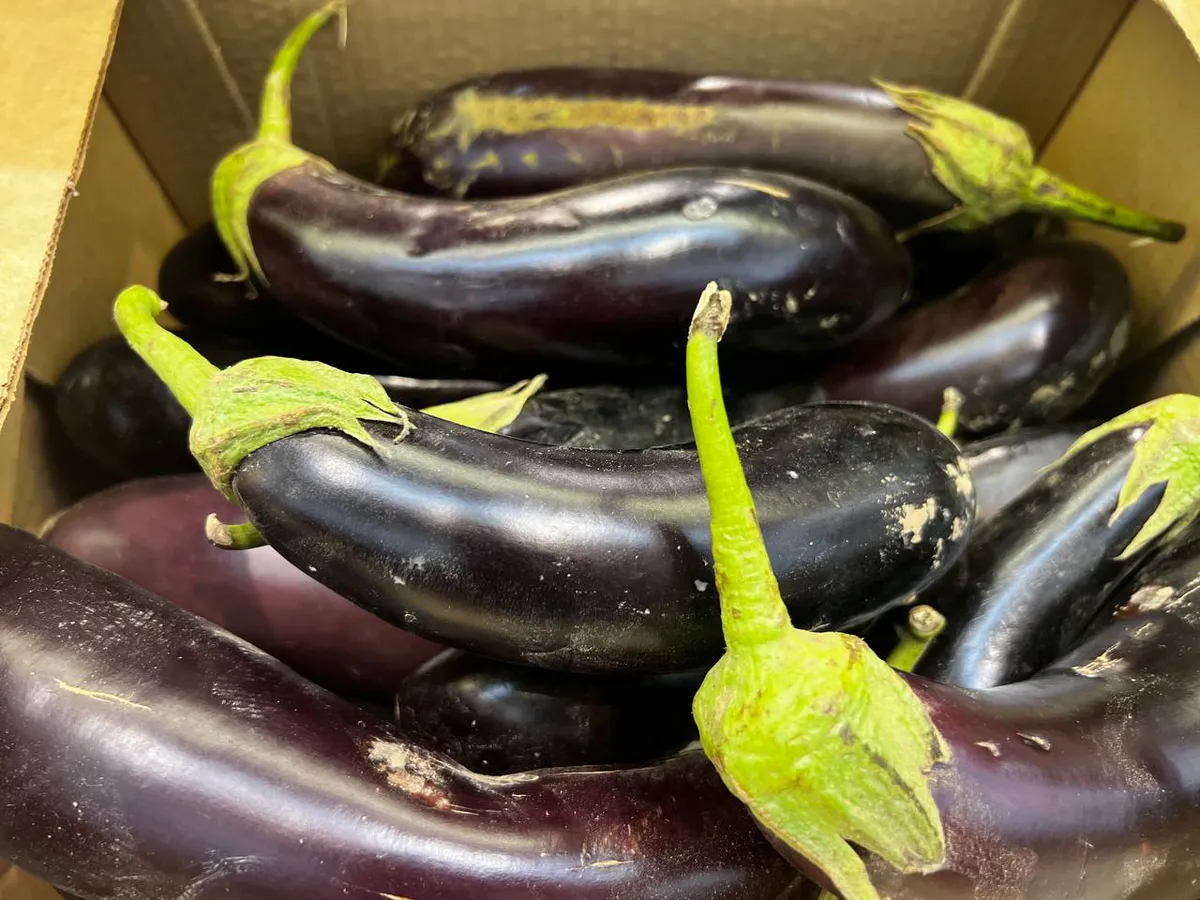 После 50 лет ешьте этот овощ каждый день: врачи назвали простой продукт для здоровья суставов