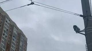 Штраф с камеры пришёл через месяц — нужно ли его оплачивать: в вопросе поставили точку