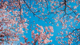 Приметы в мае: убирать теплую одежду - к холодам, гроза - к счастью, дождь - к деньгам