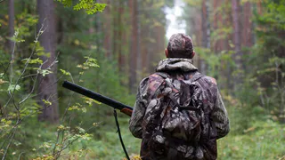 В Татарстане запретили охоту во всех природных заказниках
