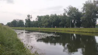 Губернатор Рязани вместе с горожанами навел порядок на берегу Оки