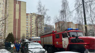 При тушении пожара в Песочне спасли двоих детей и одного взрослого