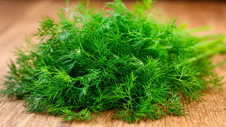 Укроп ращу лишь так - бабушкин метод: станет густым и сочным всего за 3 дня