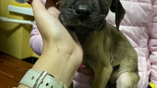 Следственный комитет выясняет причину смерти 40-летней рязанки