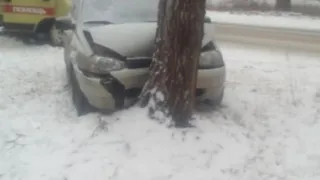 В Солотче Калина влетела в дерево, пострадали дети