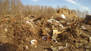 Собственника земли во Владимирской области оштрафовали на 5 миллионов рублей за свалку