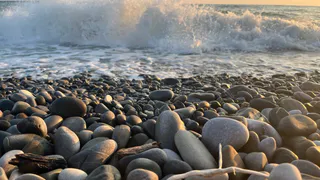 Рязанские волонтеры поехали помогать очищать берег Черного моря от мазута