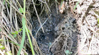 В Рязани специалисты экологической лаборатории возьмут пробы воды из озера Яслинка