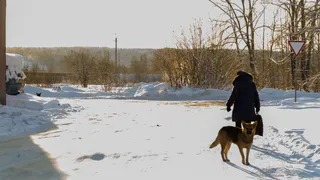 Предсказана погода в Коми на сегодня