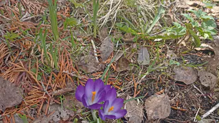 Чувашия утвердила свои позиции в качестве “лучшего экологического региона ПФО”