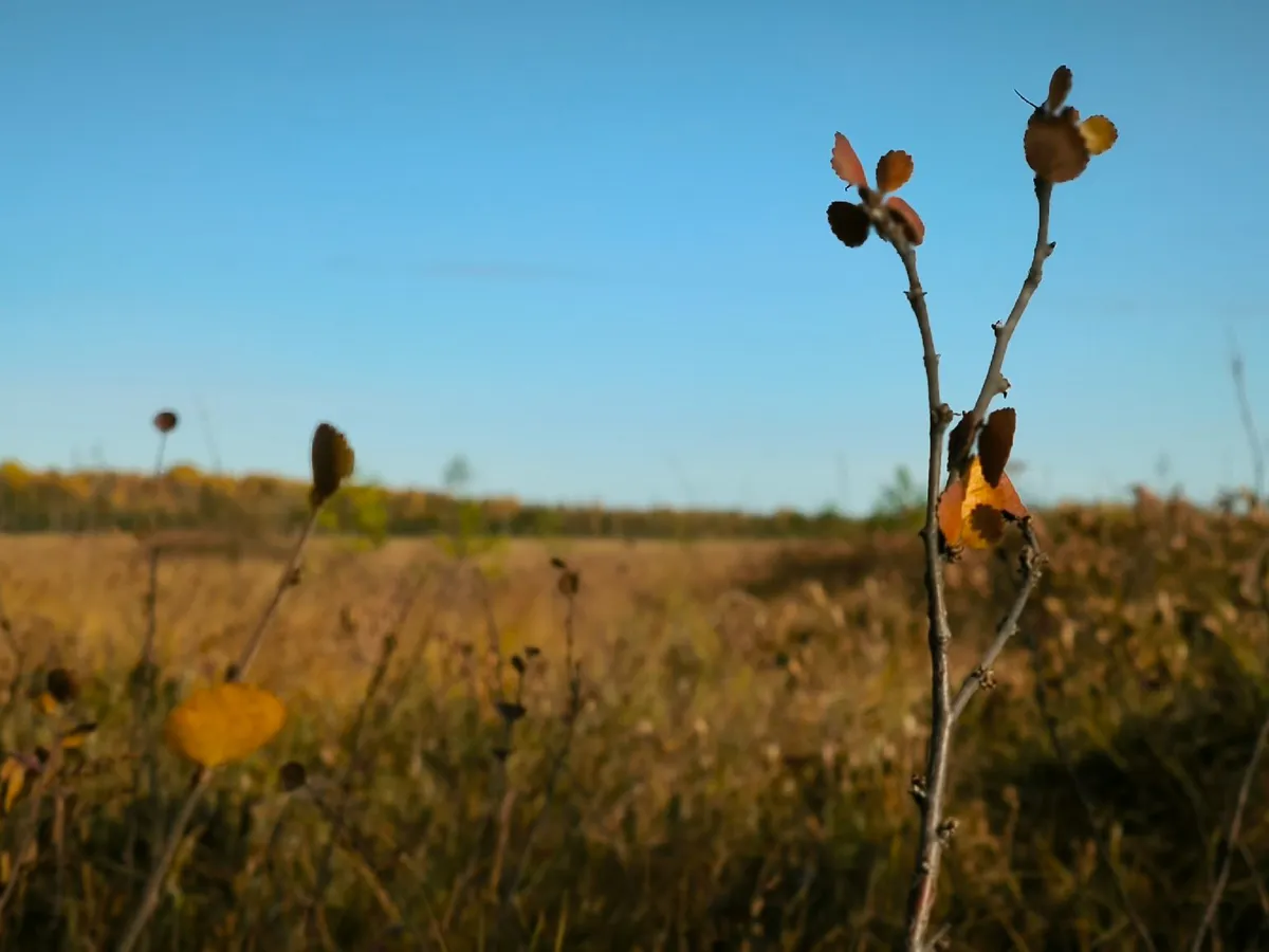 Финансовый поток открыт: Звезды предсказали, кто станет невероятно богатым с 24 мая — деньги потекут к ним в руки отовсюду