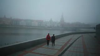 МЧС предупреждает рязанцев о тумане и гололеде