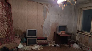 Волонтеры забрали 17 больных кошек у пенсионерки, превратившей квартиру в свалку